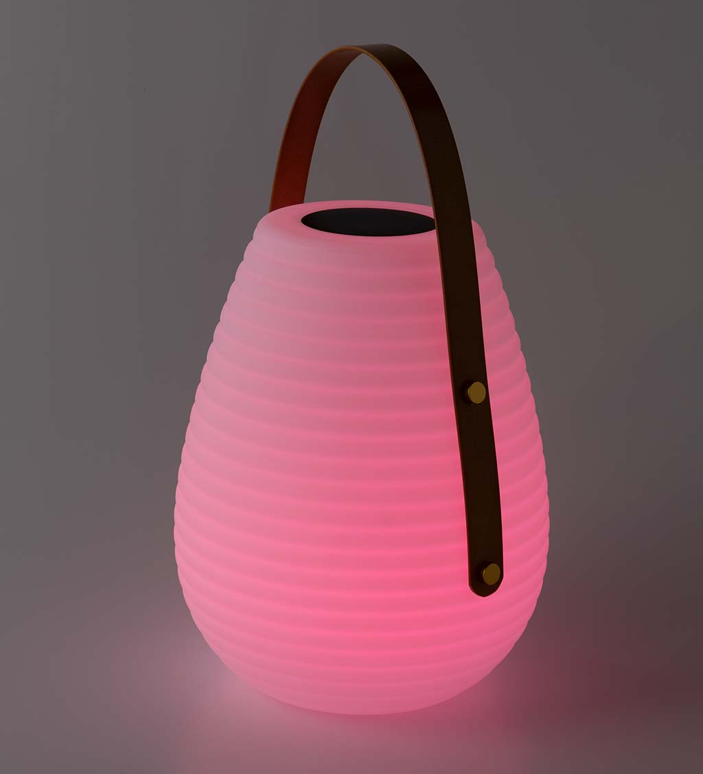 Color Changing Beehive Solar Lantern Collection
