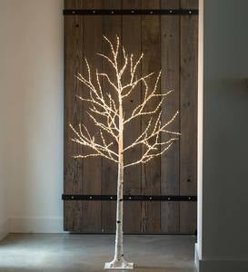 Birch LED Lighted Tree, Large 6'H