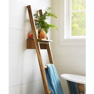 Scrap Teak Ladder with Shelf