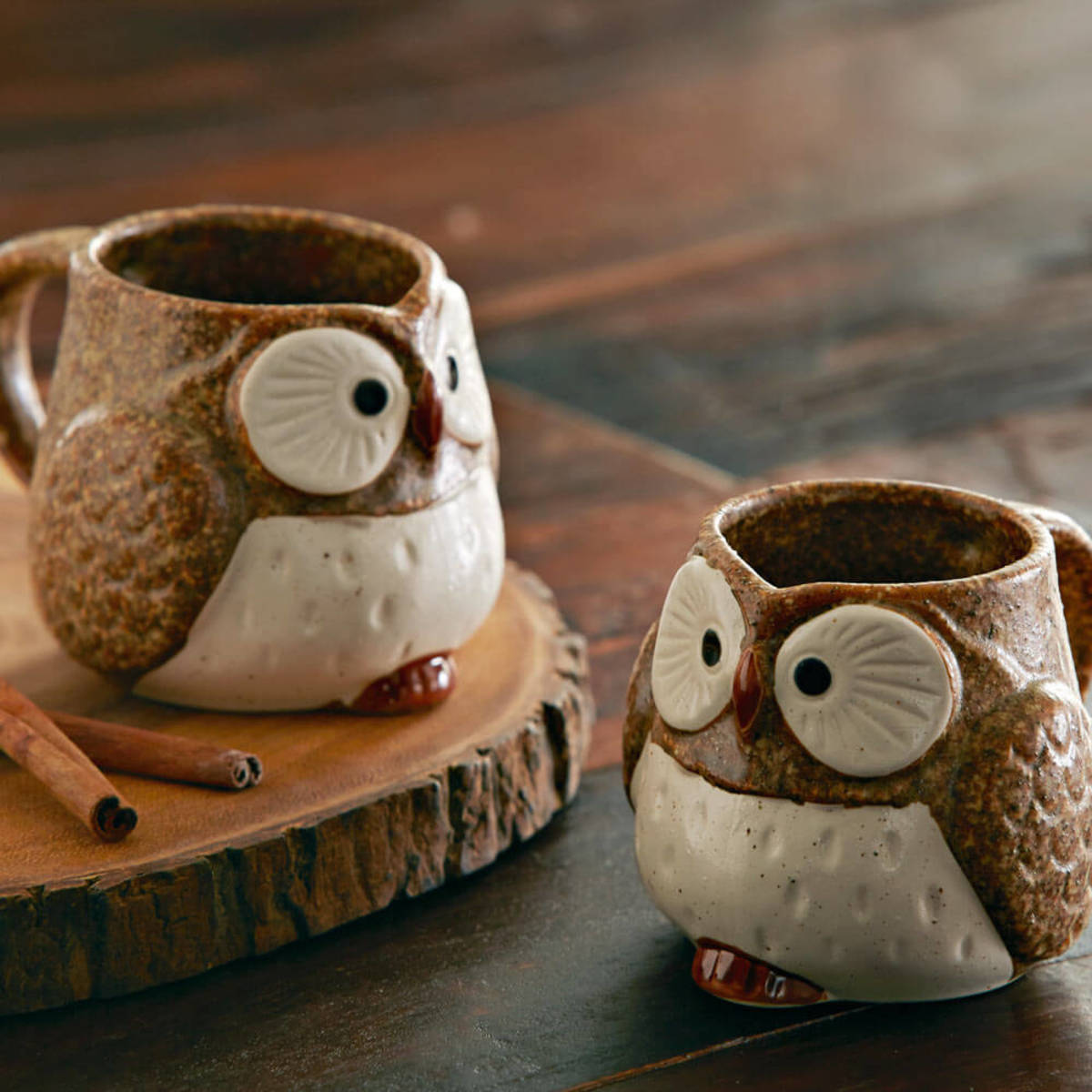 Brown Owl Mugs, Set of 2 - Brown