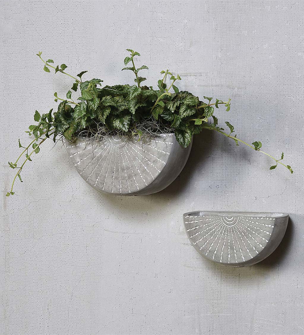 Etched Cement Wall Planter, Large